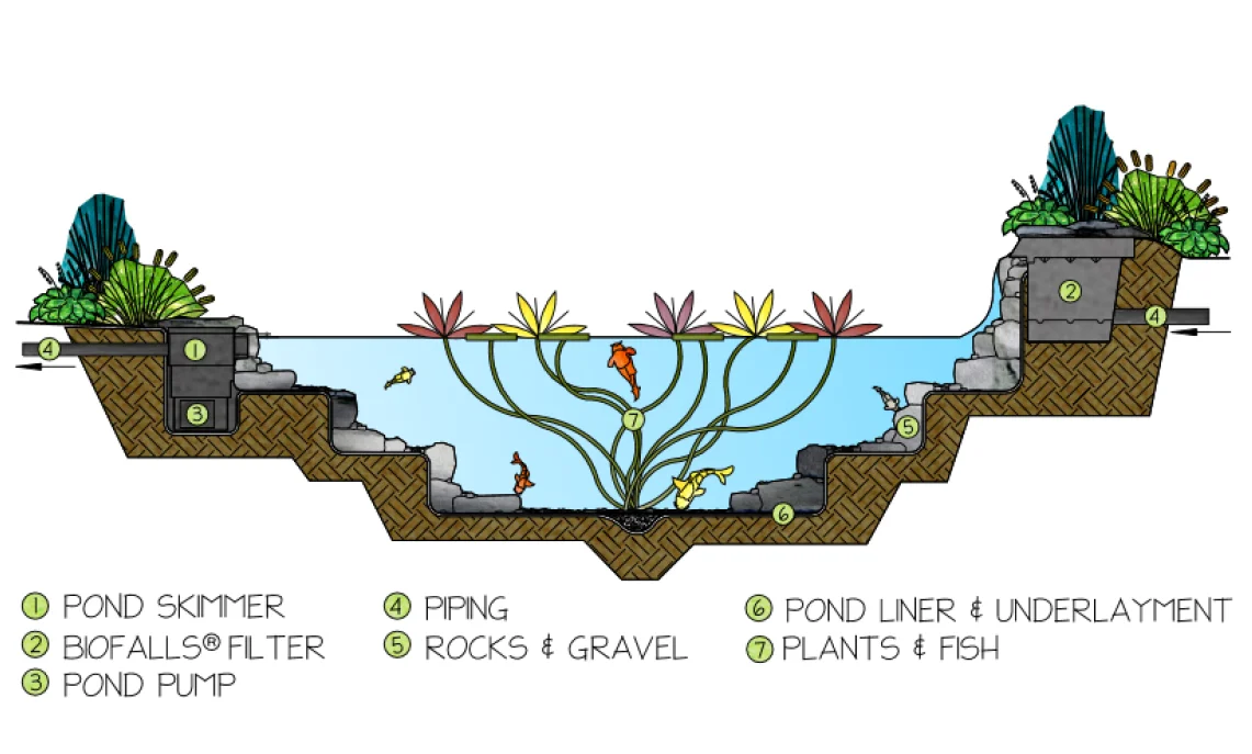 Ecosystem Ponds Manchester