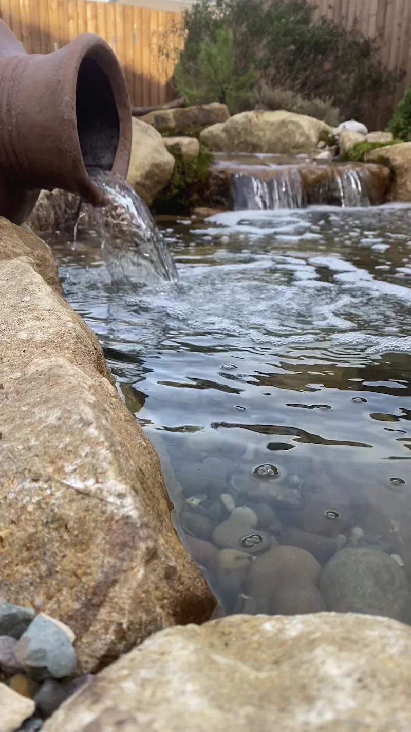 Ecosystem Ponds Manchester