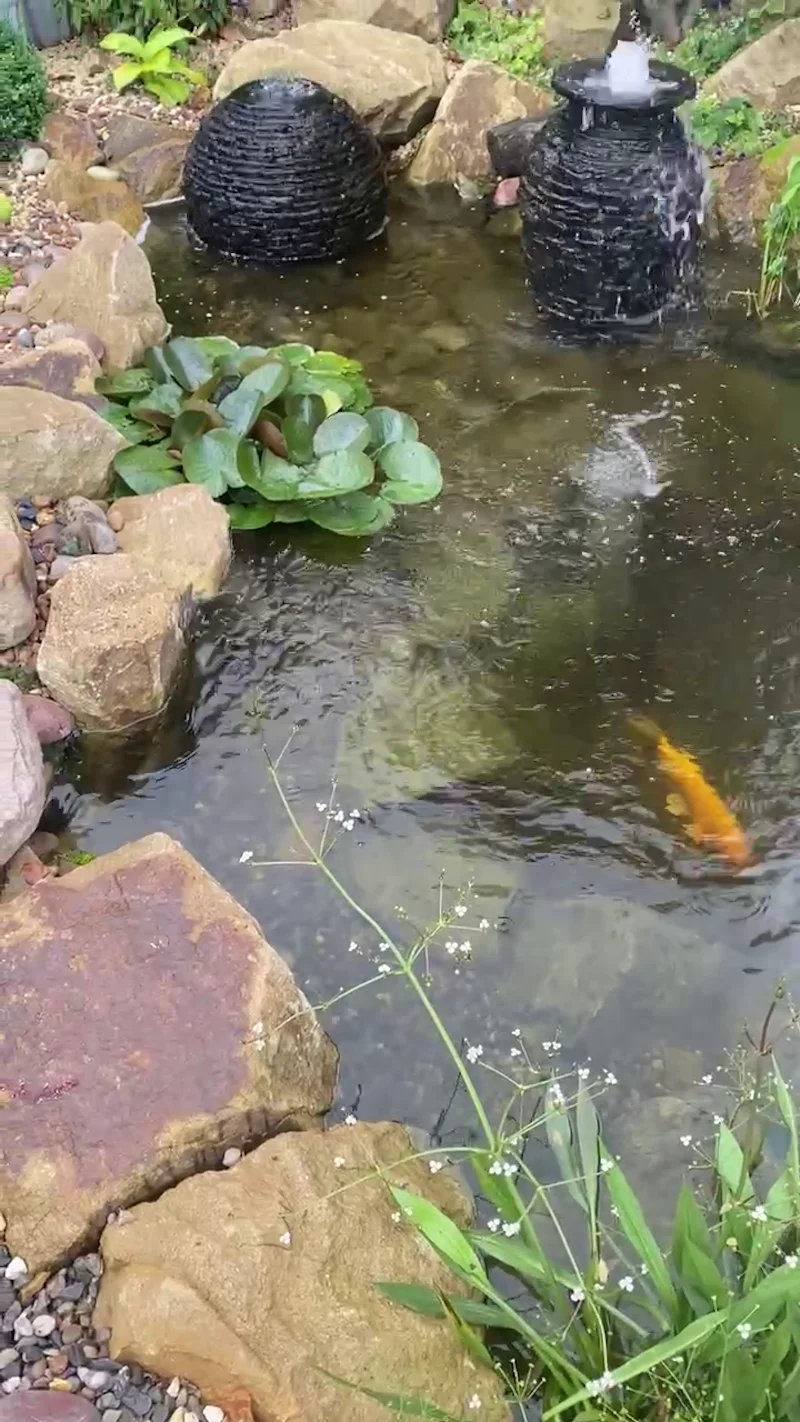 Ecosystem Ponds Manchester