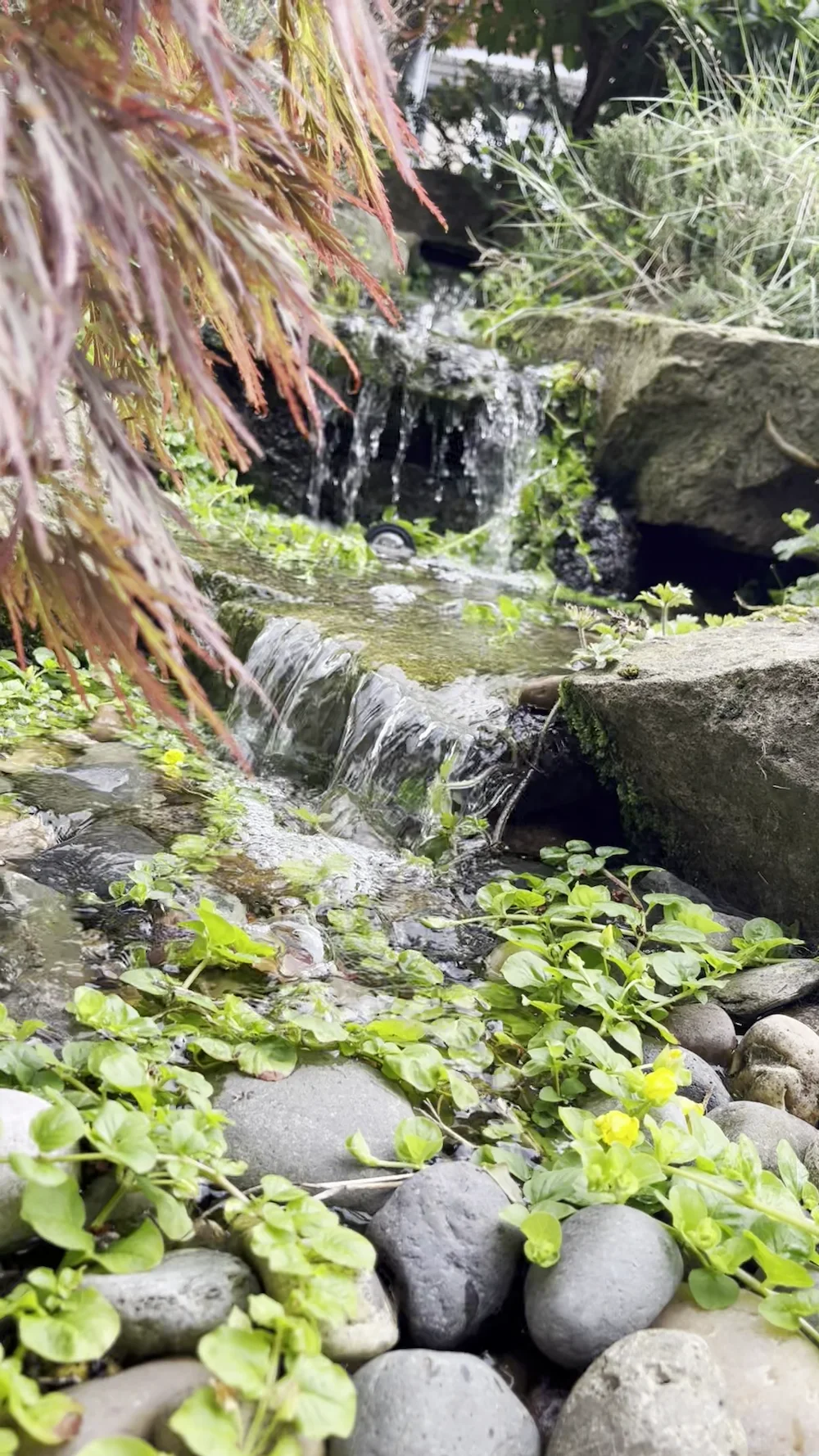 Garden Waterfalls in Manchester