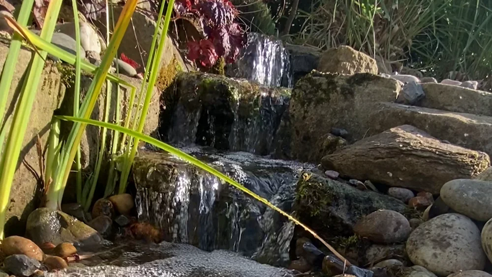 Garden Waterfalls in Manchester