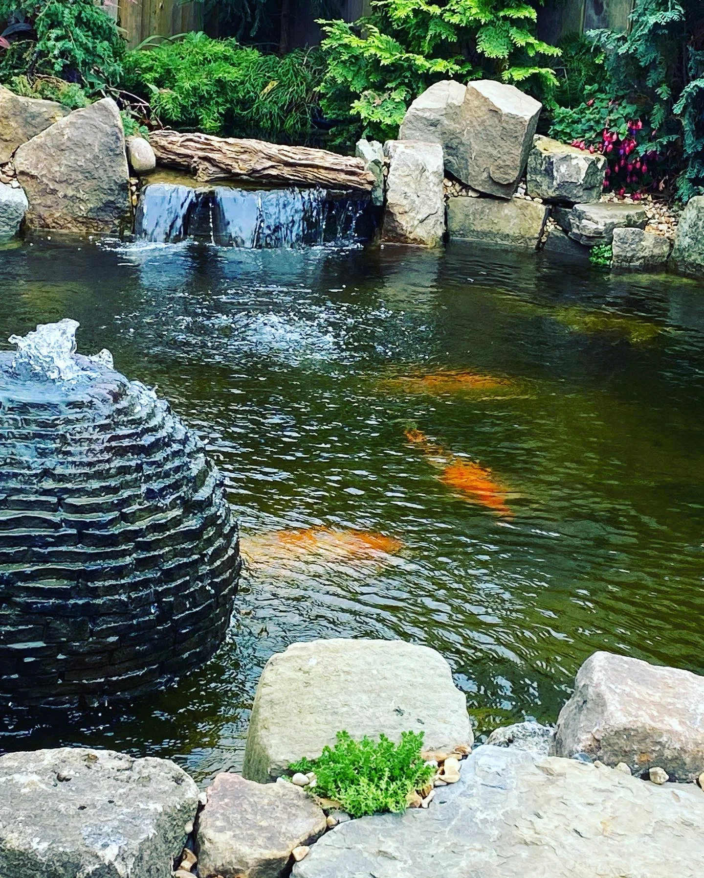Koi Pond Builders in Manchester