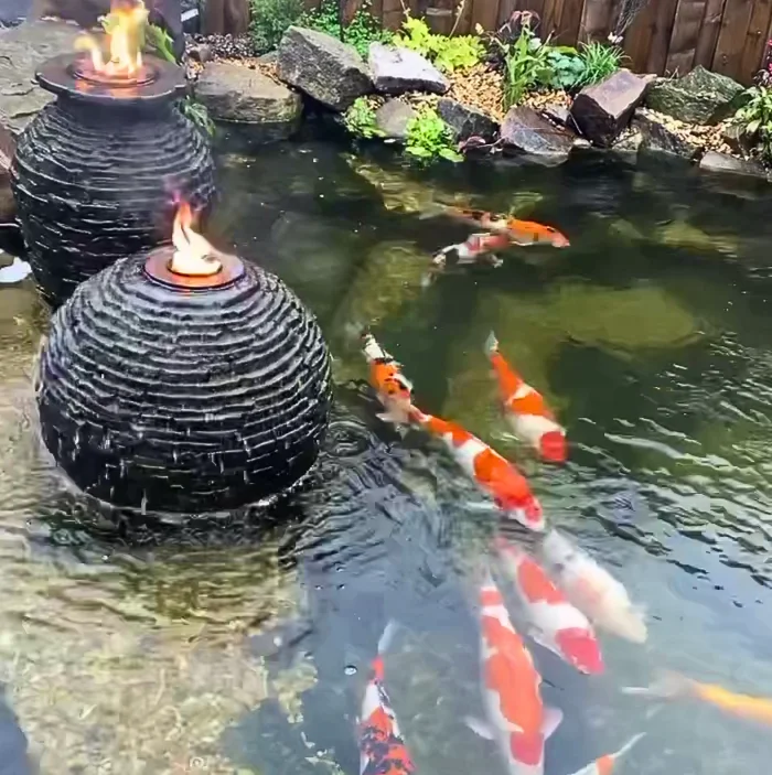 Koi Pond Builders in Manchester