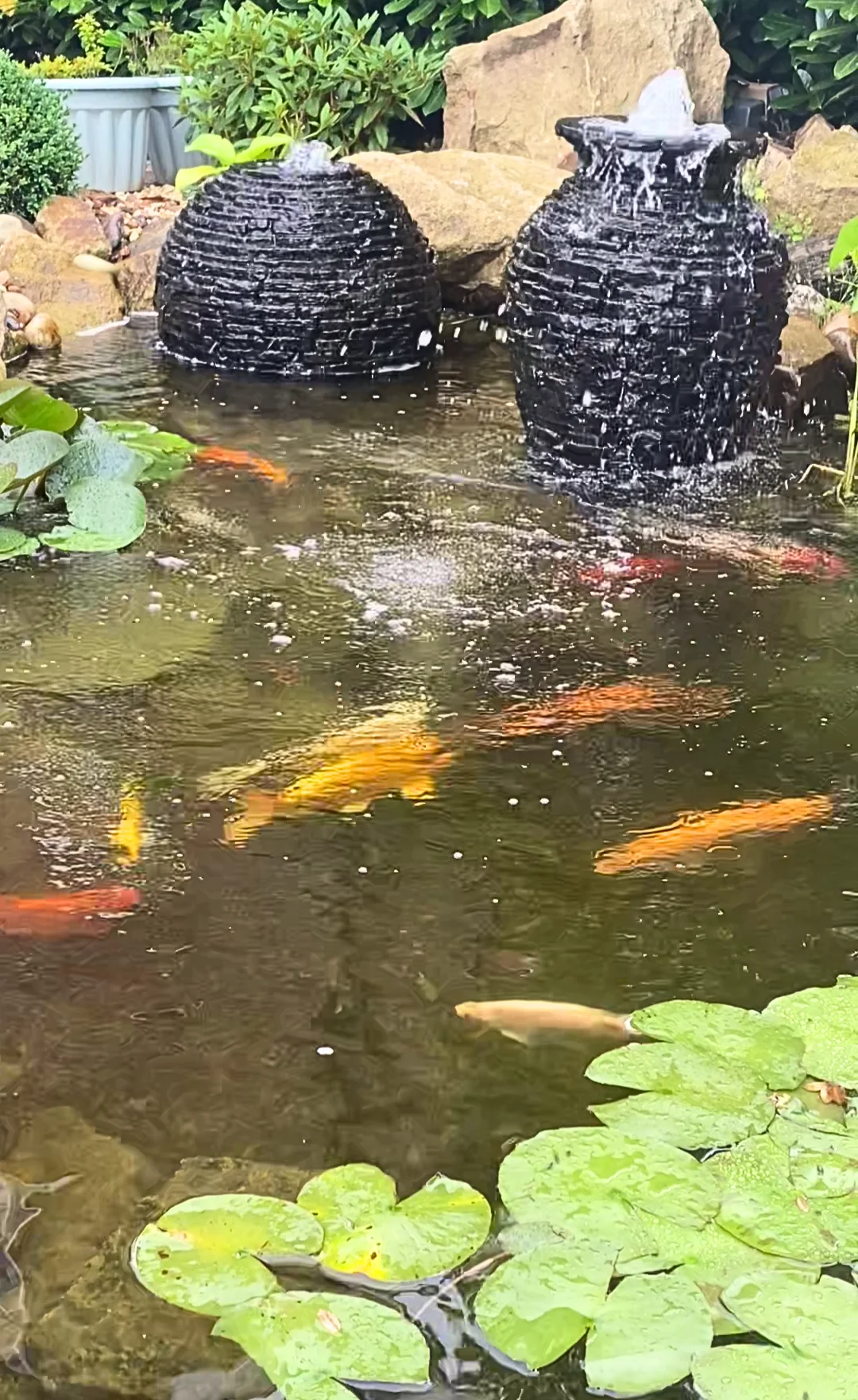 Olympian Water Gardens