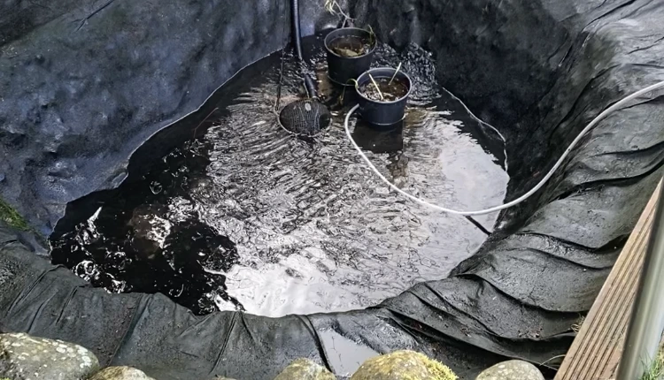 Pond Maintenance Manchester