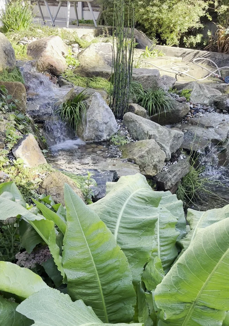 Wildlife Ponds & Natural Garden Ponds Manchester