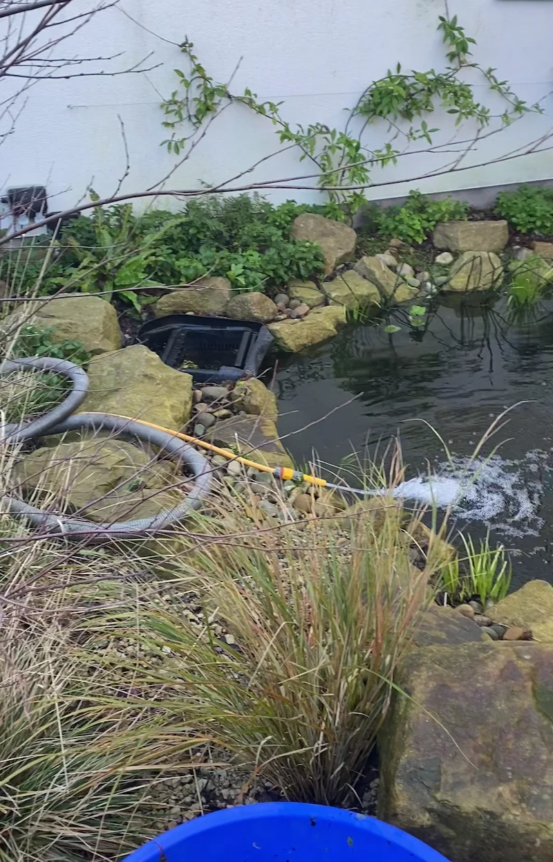 Wildlife Ponds & Natural Garden Ponds Manchester